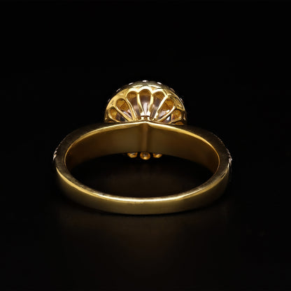 The Radiant Round Halo