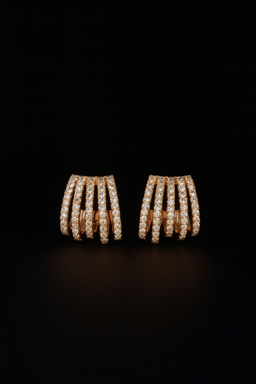 Five-hoop Earrings