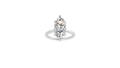 Marquise Hidden Halo Ring