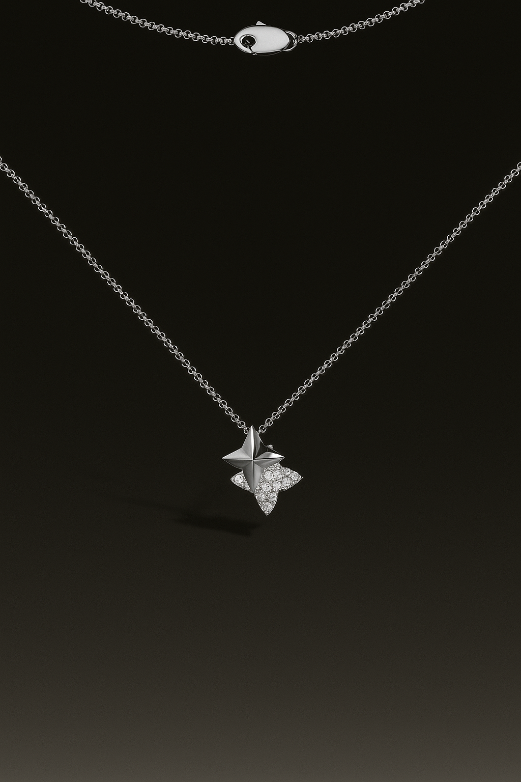 Météorites Silver Adjustable Necklace