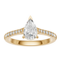 The Radiant Round Halo