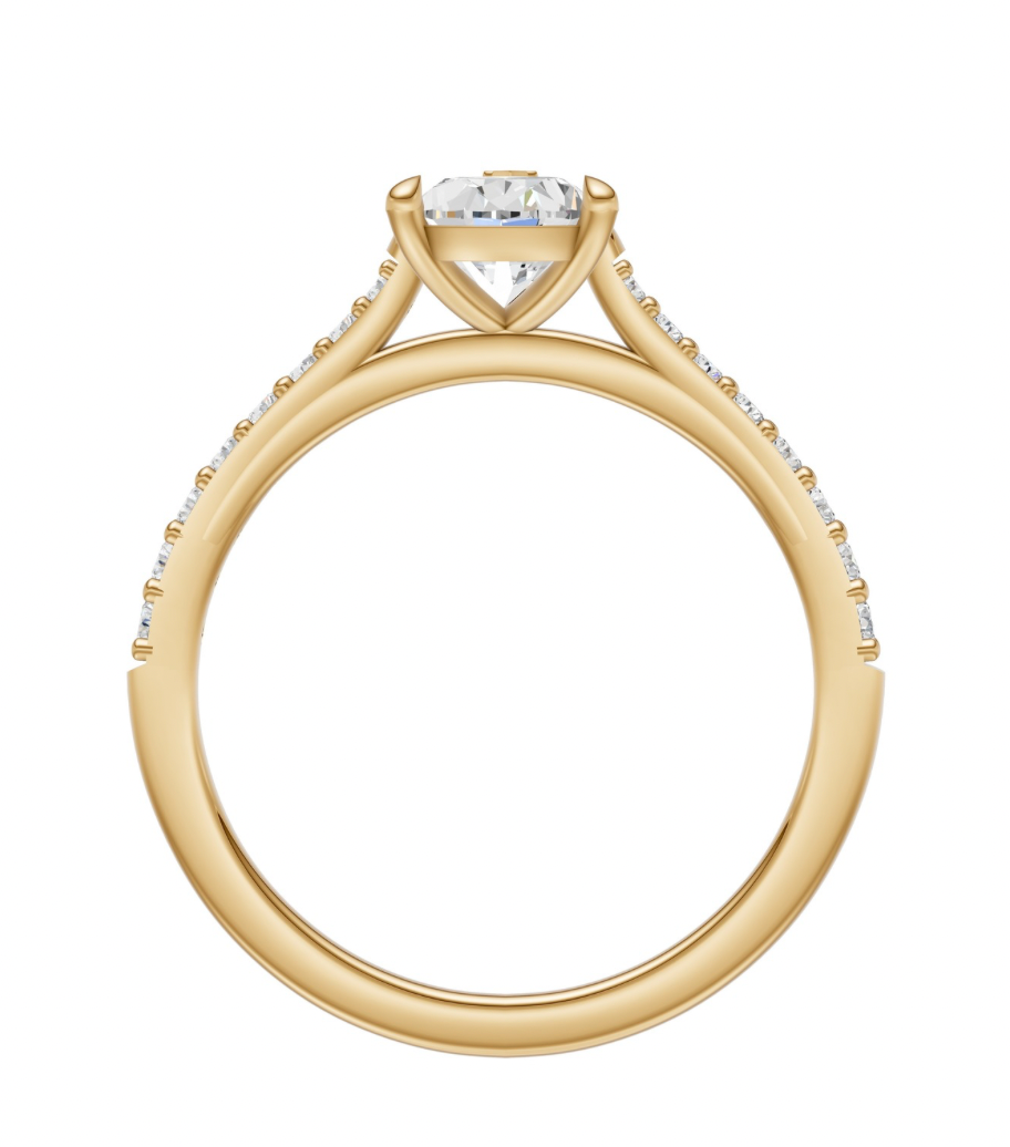 The Radiant Round Halo